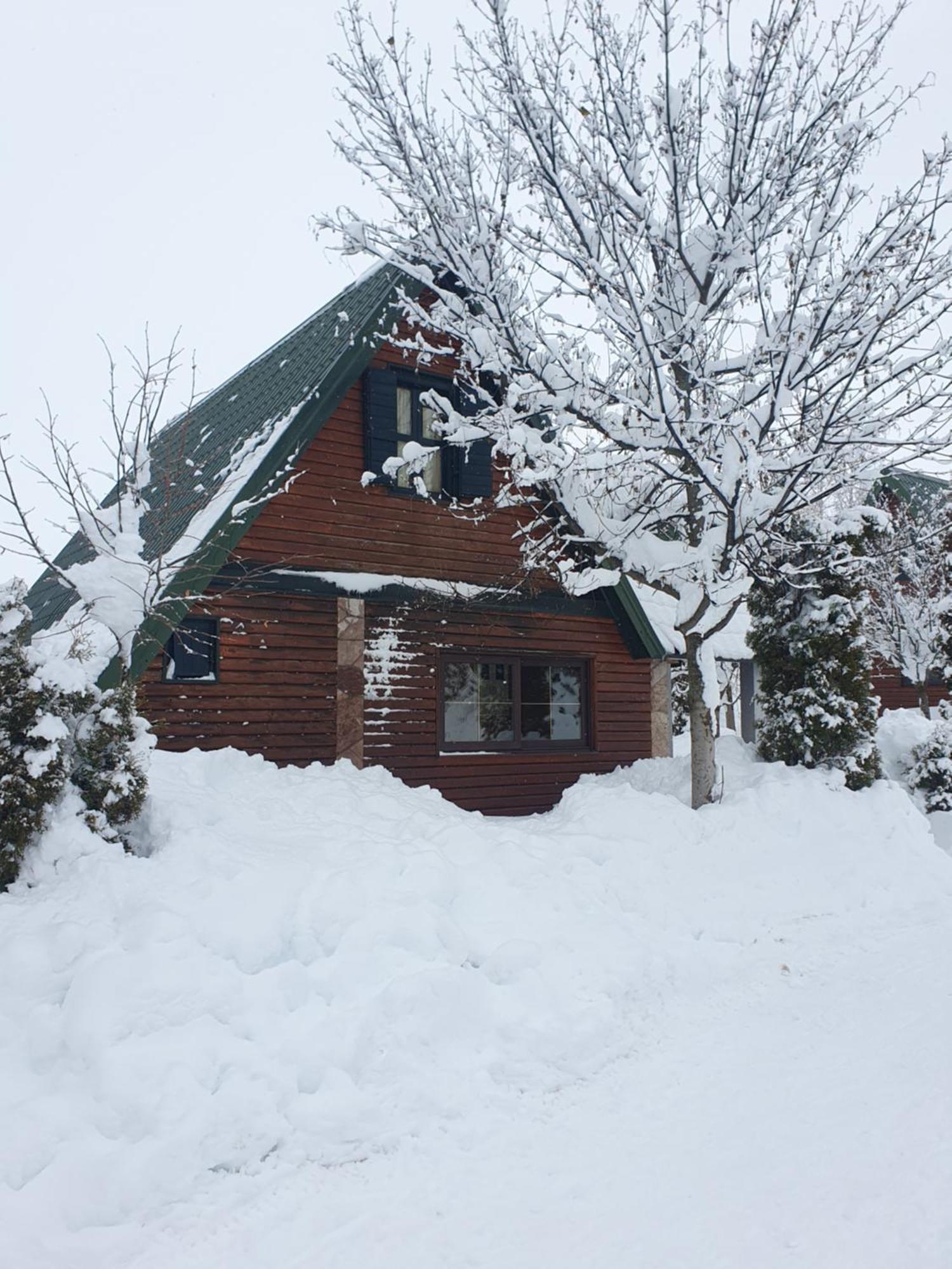 Holiday Home Vile Calimero Zabljak  Room photo